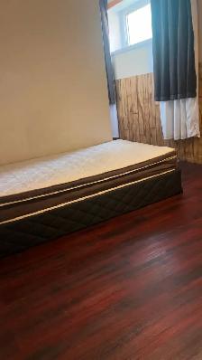 5 min Walk to Whitehorn Ctrain/Near Sunridge Mall & Airport