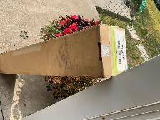 20’ awning fabric - Photo 2