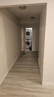 Beautiful 2 Bedroom LEGAL Basement Apartment - Photo 6