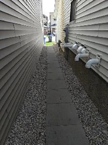 Beautiful 2 Bedroom LEGAL Basement Apartment - Photo 8
