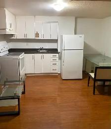 2 Bedroom Basement for rent - Photo 4