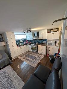 walkout basement for rent