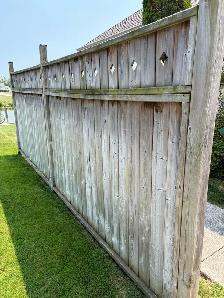 Privacy Fence 16ft x 6ft
