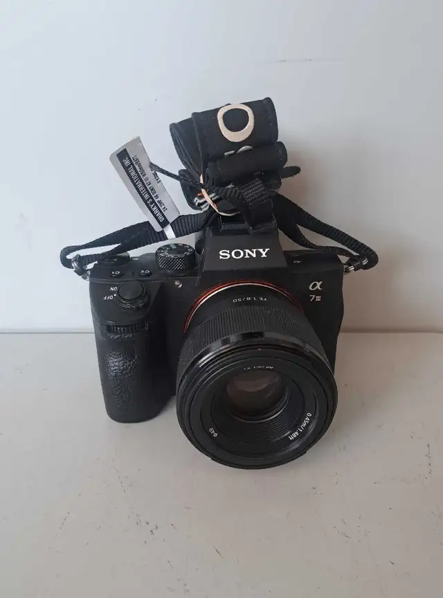 4.2mp 4K Sony A7 III Camera (31811698)