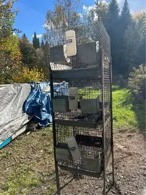 Ensemble de cages pour petits animaux, lapins ou autres.
