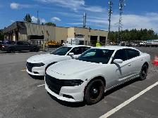 2019 Dodge Charger V8 AWD Pursuit