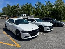2019 Dodge Charger V8 AWD Pursuit - Photo 2