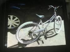 26" CAMELLIA LADIES CRUISER - Photo 2