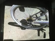 26" CAMELLIA LADIES CRUISER - Photo 4