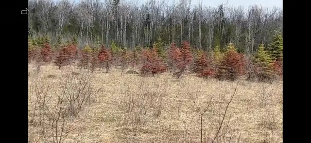 Farm land for rent