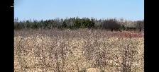 Farm land leasing