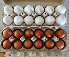 Farm Fresh Eggs