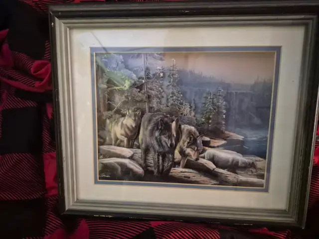 Picture for sale in frame
