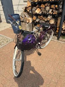 Ladies Schwinn Bicycle - Photo 5