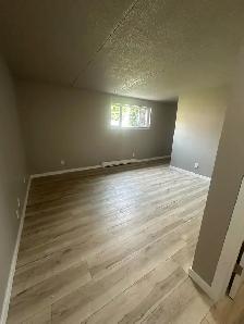 One bedroom apartment for rent - Photo 3