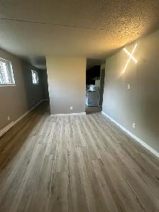 One bedroom apartment for rent - Photo 4