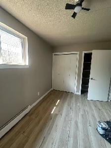 One bedroom apartment for rent - Photo 10