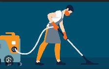I need short term cash job. Landscape/Dog walk/ cleaning job