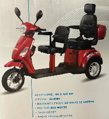 Tricycle électrique 2 places