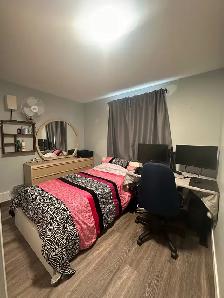 ABBEYDALE Room For Rent - Photo 3