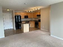 2 Beds 2 bathrooms Apartment in Terwillegar Towne - Photo 3