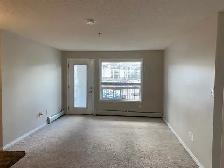 2 Beds 2 bathrooms Apartment in Terwillegar Towne - Photo 4