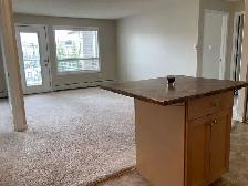 2 Beds 2 bathrooms Apartment in Terwillegar Towne - Photo 5
