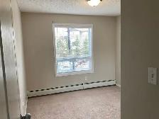 2 Beds 2 bathrooms Apartment in Terwillegar Towne - Photo 7