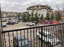 2 Beds 2 bathrooms Apartment in Terwillegar Towne - Photo 9