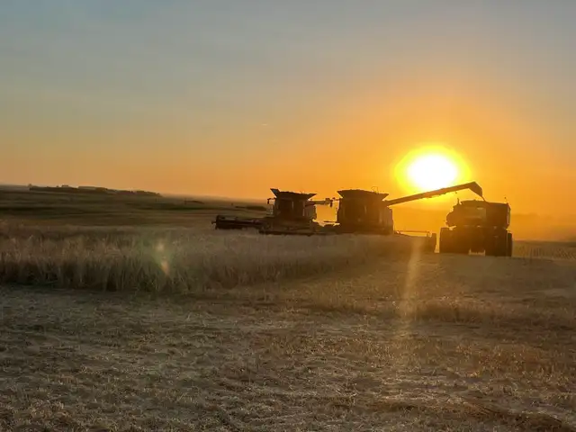 Seasonal Grain Farm  Help wanted