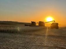 Seasonal Grain Farm  Help wanted