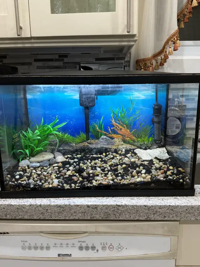 Aqueon 10 Gallon Aquarium Kit