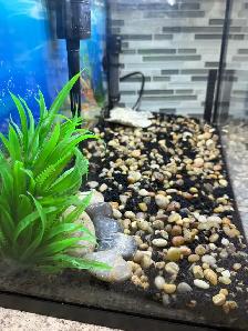 Aqueon 10 Gallon Aquarium Kit - Photo 2