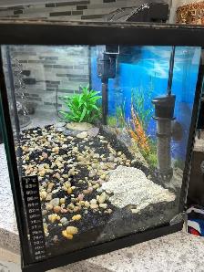 Aqueon 10 Gallon Aquarium Kit - Photo 3