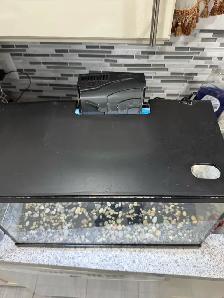 Aqueon 10 Gallon Aquarium Kit - Photo 4