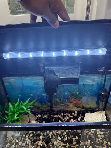 Aqueon 10 Gallon Aquarium Kit - Photo 5