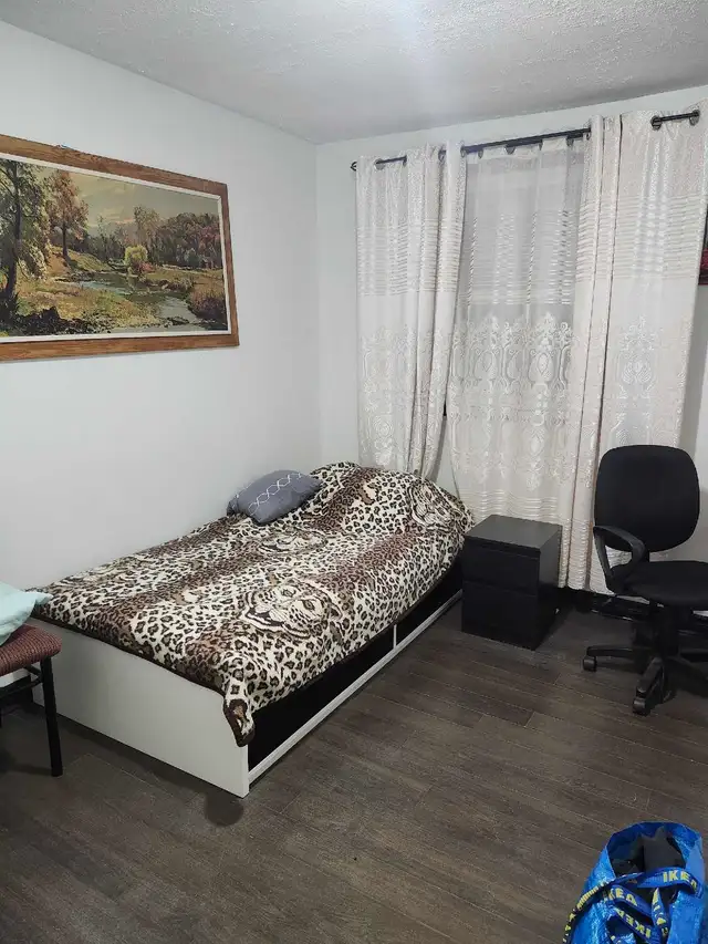 room for rent
