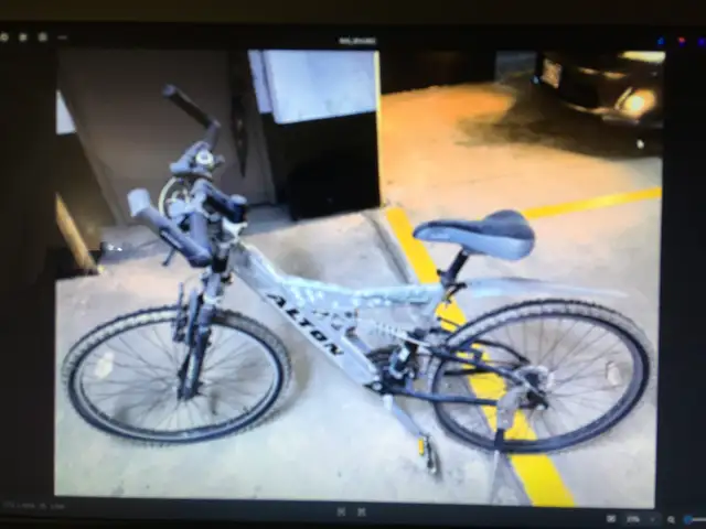 $80 ZOOM/ALTON BICYCLE (used: good)