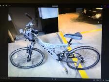$80 ZOOM/ALTON BICYCLE (used: good)