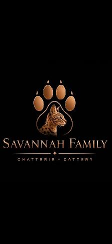 F4/F7SBT Savannah kittens regis.TICA - Photo 10