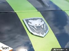 2008 DODGE VIPER SRT-10 - LOCAL | RARE SNAKESKIN GREEN - Photo 9
