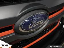 2019 FORD F150 HARLEY DAVIDSON - | HARLEY DAVIDSON LIMITED 1 0F - Photo 9