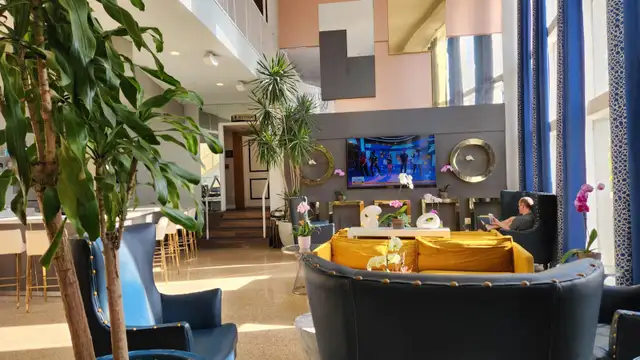 Professional Cleaning and Care Solutions