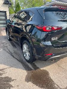 Auto Detailing - Photo 7