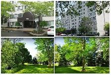 Clean, Comfortable 1 Bedroom Apartment – 1600 Adelaide London