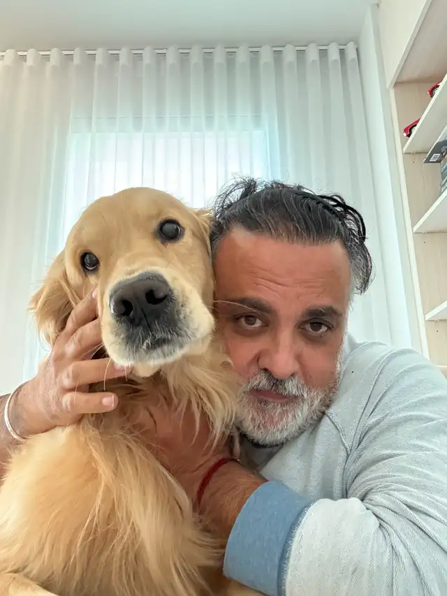 Golden Retriever dog for Sale