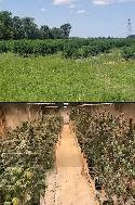 ACMPR Recreational Cannabis Agricultural Grow-op to Lease. - Photo 2