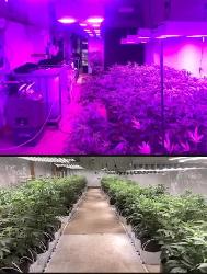 ACMPR Recreational Cannabis Agricultural Grow-op to Lease. - Photo 3