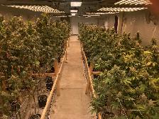 ACMPR Recreational Cannabis Agricultural Grow-op to Lease. - Photo 4