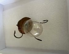 Vintage Glass Bait Tube. Transparent Tackle Co. - Photo 2